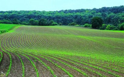 农业论文-川西北不同沙化程度草地土壤细菌
