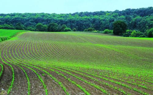 农业论文-川西北不同沙化程度草地土壤细菌 群落特征研究