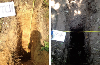 地质论文图3- 探槽揭示滑坡体及滑床