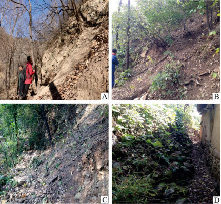 地质论文图4- 滑坡变形特征