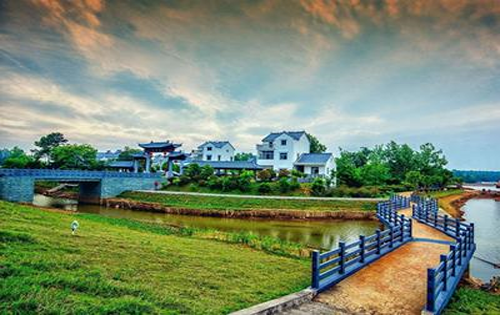 教育改革论文:乡村振兴战略下农村职业教育的改革与创新发展