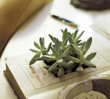 学术期刊论文发表必须知道的10个问题