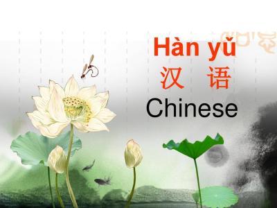 对外汉语教学论文：对外汉语教学课堂文化导入方式探索