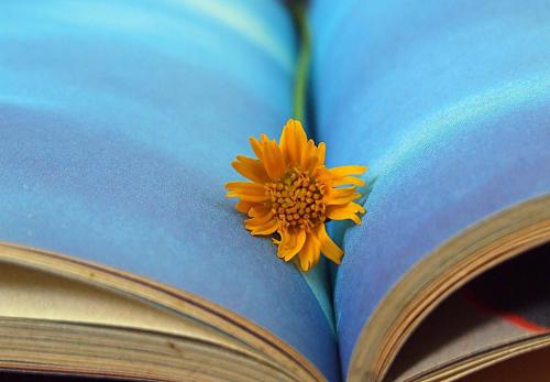 职称论文发表如何才能管用又省钱?