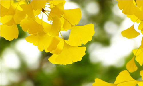 评职称发表论文要求