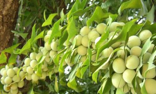 评职称发表论文要求