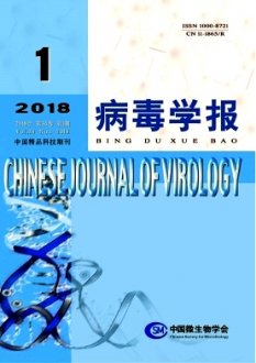 病毒学报