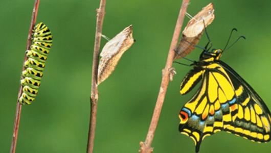 中高级职称申报指南