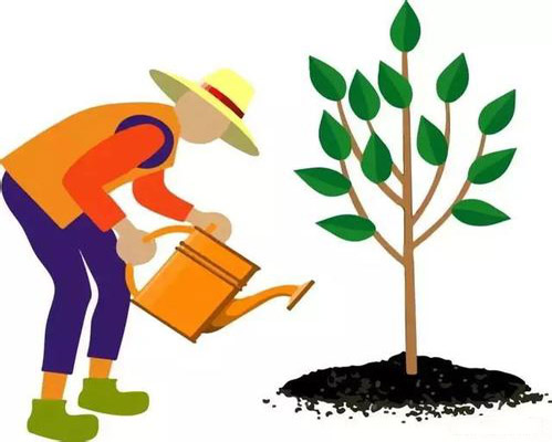 职业教育论文:乡村振兴战略下我国农村职业教育的战略转型