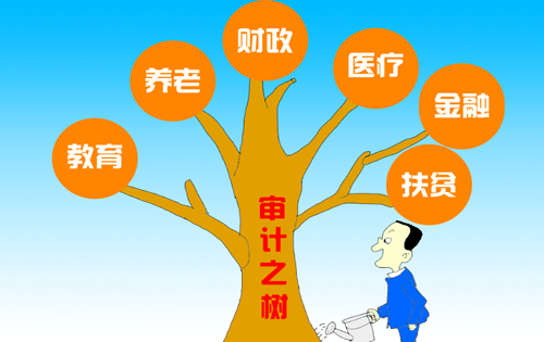 审计论文：我国国家审计的新要求与新发展