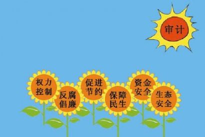 战略管理论文-领导干部经济责任审计本质： 理论框架和例证分析