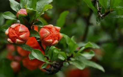 高等教育改革论文：稳妥推进我国高考综合改革的四个着力点