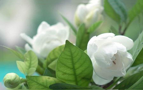 心理教育论文-青少年感觉寻求人格特质的培养策略探析