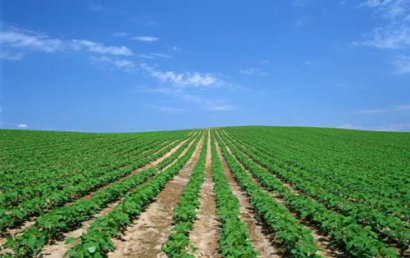 关于生态环境的论文：典型工业城市土壤重金属污染及潜在生态风险评价