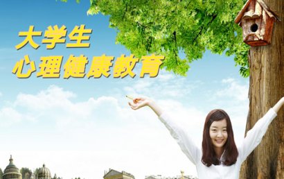 大学生心理健康教育论文：基于组织行为学的大学生网络人格培育实践报告