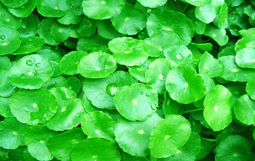 决定?论文发表费用四个重要因素：