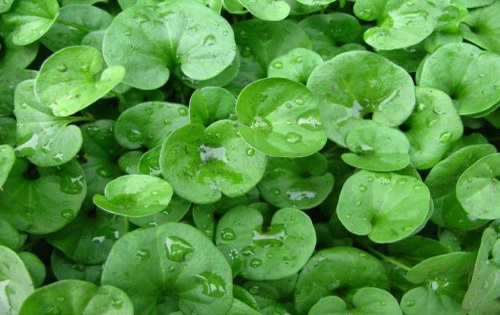 决定?论文发表费用四个重要因素：