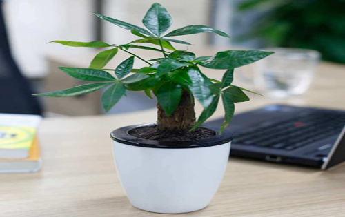 思想政治教育类论文:大学文化视阈下思想政治教育的作为主旨与创新向度