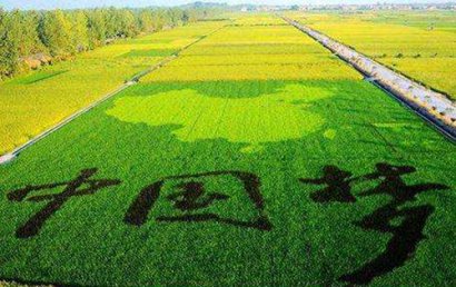 关于农业经济的论文：“十三五”时期地方农业经济发展战略研究