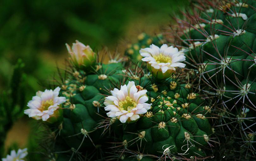 再谈论文写作技巧及论文发表时间与提升职称论文发表成功率的关系