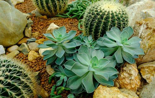 再谈论文写作技巧及论文发表时间与提升职称论文发表成功率的关系