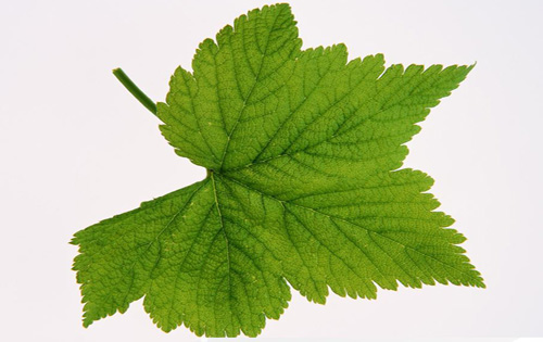 学术论文读者群体及断定论文创新程度的高低的标准