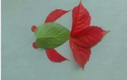 职称论文写作中常见问题分析及发表成功率提升