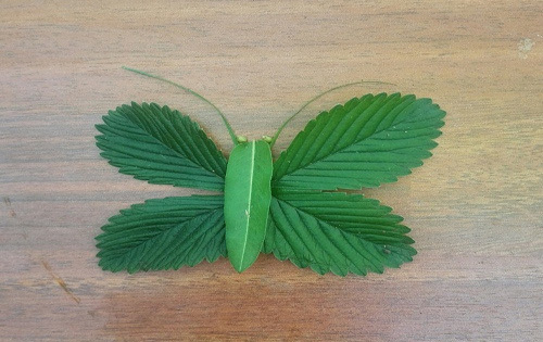 职称论文写作中常见问题分析及发表成功率提升方法探析