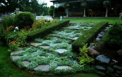 农业经济管理学论文：经济背景下农业经济可持续发展模式探析