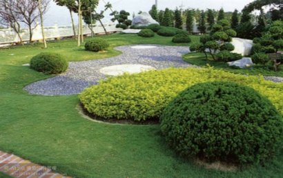 教学论文范文：教师生成自主教学行为需超越规约