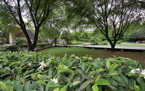 跨界的能动者:教师教育者专业成长路径探析