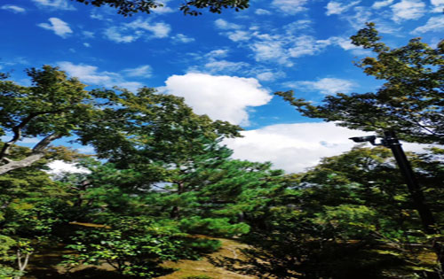 关于人才培养的论文:“一体三面”:高职教育人才培养逻辑建构与实施路径