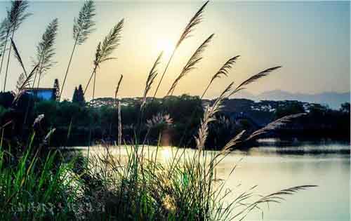 论文发表网站常见问题答疑