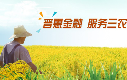 三农问题的论文-误解与无知:农民对精准扶贫政策的认识危机