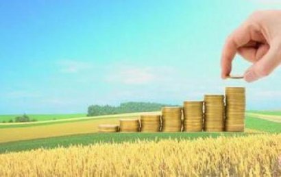 三农问题的论文-误解与无知：农民对精准扶贫政策的认识危机