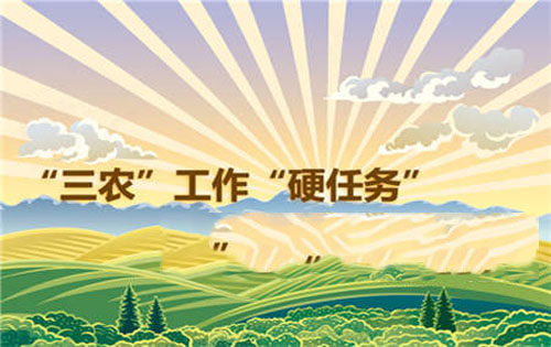 三农问题的论文-误解与无知:农民对精准扶贫政策的认识危机