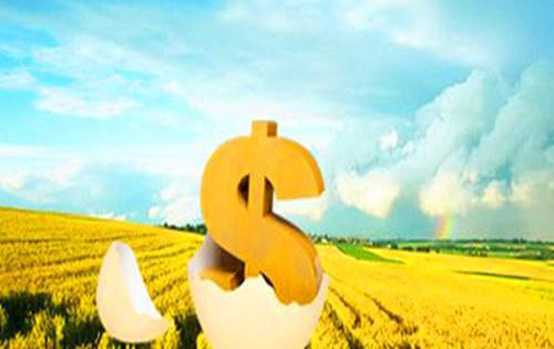 三农问题的论文-误解与无知:农民对精准扶贫政策的认识危机