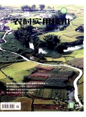 农村实用技术2019年11月封面