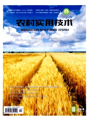农村实用技术2019年10月封面
