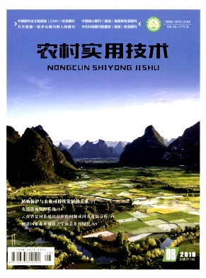 农村实用技术2019年8月封面