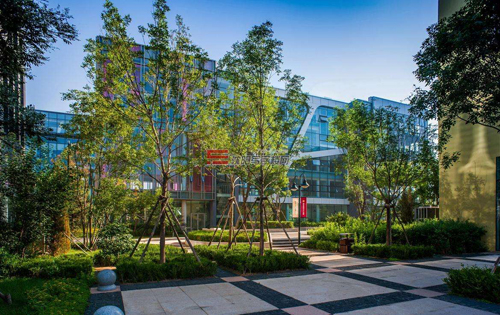 从论文架构解读:如何透过文章清晰传达你的想法?