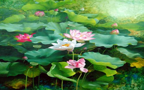 核心期刊发表编辑给出的审稿9法则