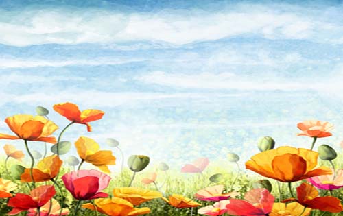 核心期刊发表编辑给出的审稿9法则