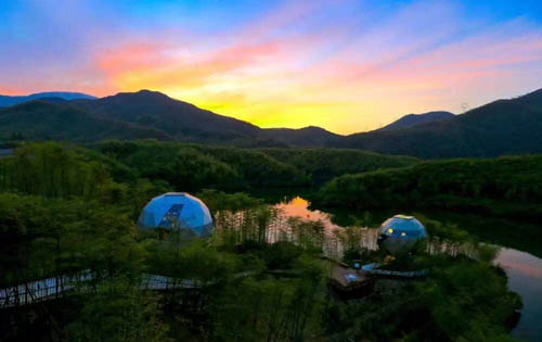 “优秀学位论文”仅仅是因为写的好吗?我太天真了