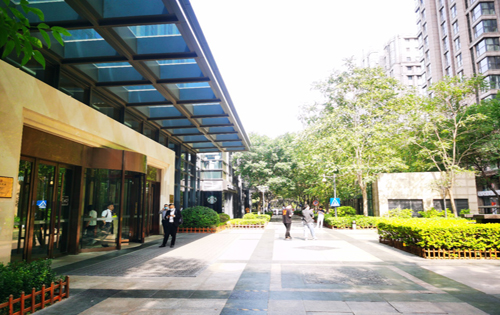 提高英文论文写作能力的六点建议