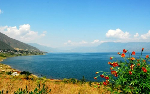 公共管理论文:云南环境治理中政府、企业、公众协同体系构建研究 ——以程海污染治理为例