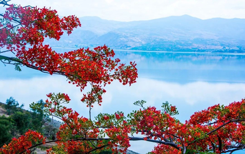 公共管理论文:云南环境治理中政府、企业、公众协同体系构建研究 ——以程海污染治理为例