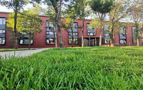 党建论文:论十八大以来党建工作的战略路线