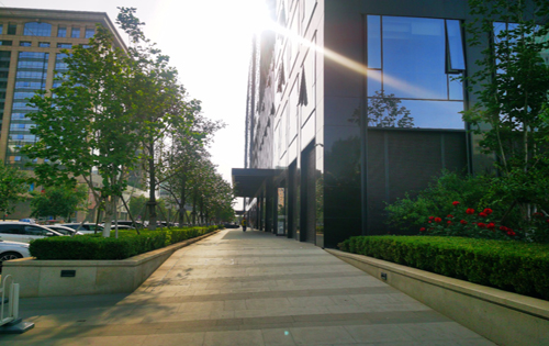 党建论文:论十八大以来党建工作的战略路线